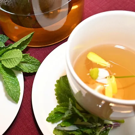 Lägenhet Landerleben *