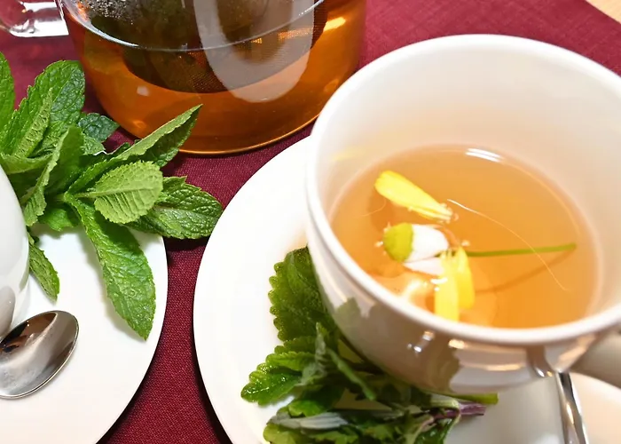 Appartamento Landerleben *